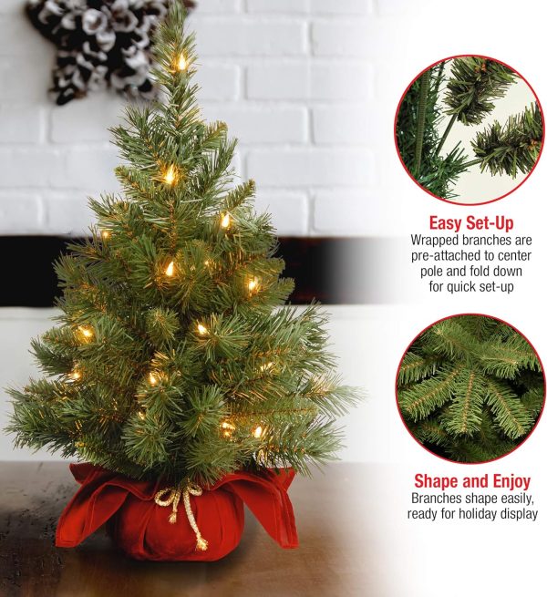 National Tree MJ3-24BGLO-B1 Tree, 24″, Green(Plug in w/Red Bag Tree ...